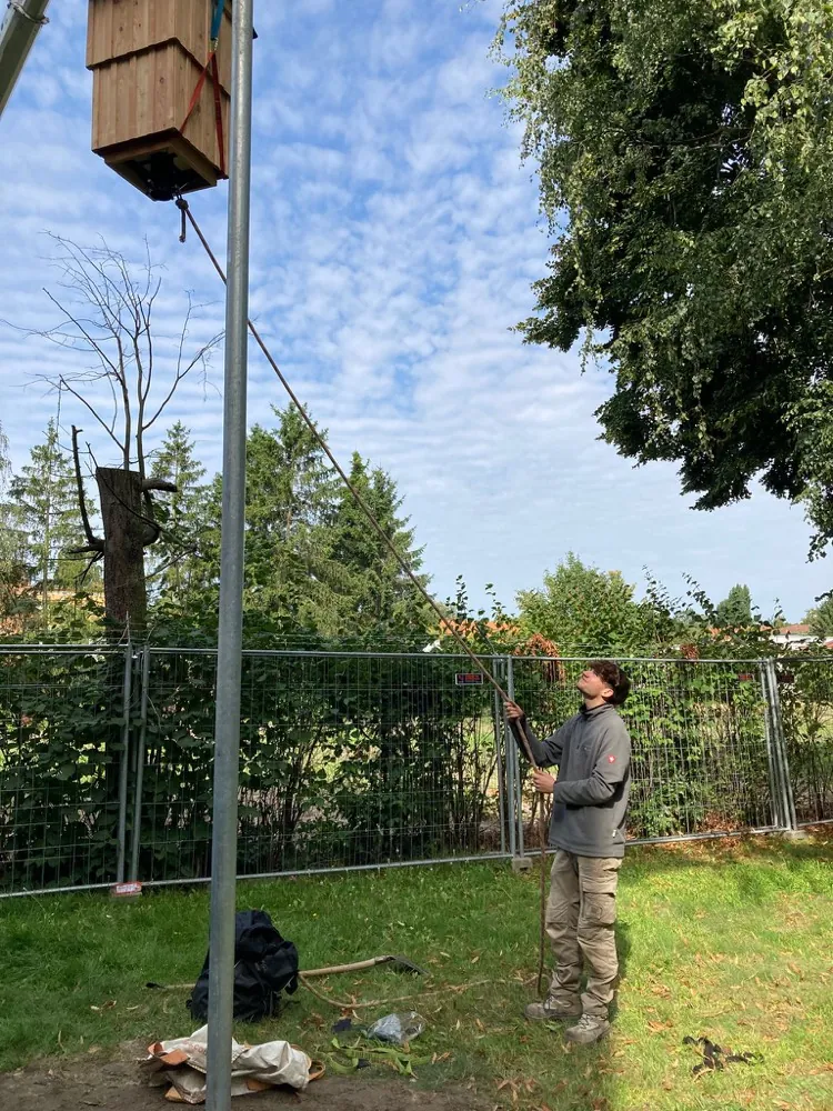 Monteur installiert einen Fledermausturm als Ersatzquartier